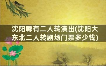 沈阳哪有二人转演出(沈阳大东北二人转剧场门票多少钱)