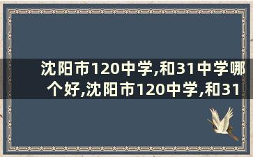 沈阳市120中学,和31中学哪个好,沈阳市120中学,和31中学哪个好些