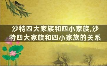 沙特四大家族和四小家族,沙特四大家族和四小家族的关系