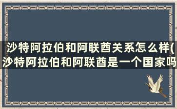 沙特阿拉伯和阿联酋关系怎么样(沙特阿拉伯和阿联酋是一个国家吗)