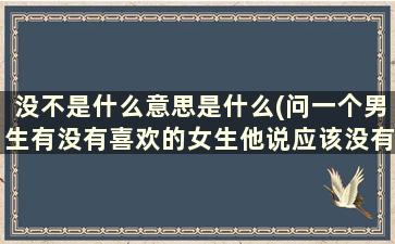 没不是什么意思是什么(问一个男生有没有喜欢的女生他说应该没有是什么意思)