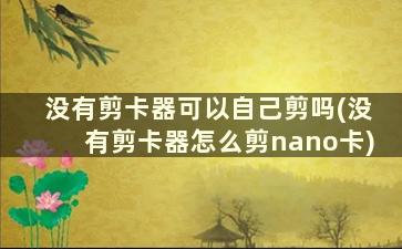 没有剪卡器可以自己剪吗(没有剪卡器怎么剪nano卡)