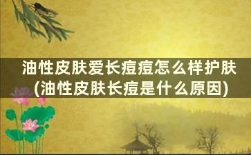 油性皮肤爱长痘痘怎么样护肤(油性皮肤长痘是什么原因)