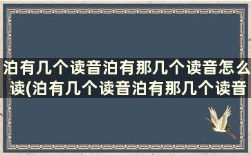 泊有几个读音泊有那几个读音怎么读(泊有几个读音泊有那几个读音组词)