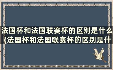 法国杯和法国联赛杯的区别是什么(法国杯和法国联赛杯的区别是什么意思)