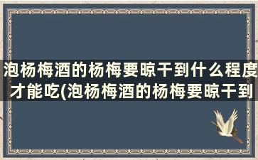 泡杨梅酒的杨梅要晾干到什么程度才能吃(泡杨梅酒的杨梅要晾干到什么程度呢)