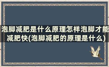 泡脚减肥是什么原理怎样泡脚才能减肥快(泡脚减肥的原理是什么)