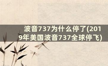 波音737为什么停了(2019年美国波音737全球停飞)