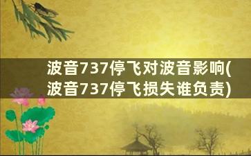 波音737停飞对波音影响(波音737停飞损失谁负责)