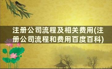 注册公司流程及相关费用(注册公司流程和费用百度百科)