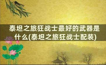 泰坦之旅狂战士最好的武器是什么(泰坦之旅狂战士配装)