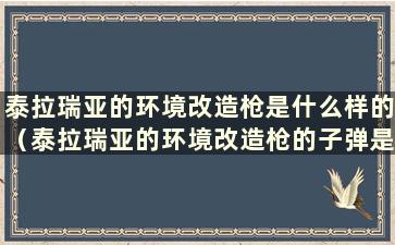 泰拉瑞亚的环境改造枪是什么样的（泰拉瑞亚的环境改造枪的子弹是什么）