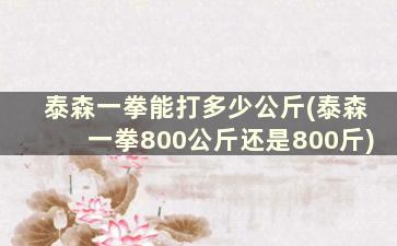 泰森一拳能打多少公斤(泰森一拳800公斤还是800斤)