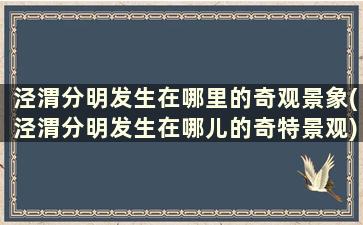 泾渭分明发生在哪里的奇观景象(泾渭分明发生在哪儿的奇特景观)