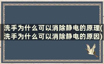 洗手为什么可以消除静电的原理(洗手为什么可以消除静电的原因)