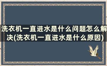 洗衣机一直进水是什么问题怎么解决(洗衣机一直进水是什么原因)