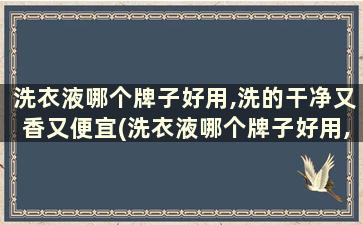 洗衣液哪个牌子好用,洗的干净又香又便宜(洗衣液哪个牌子好用,洗的干净又香没有荧光剂)