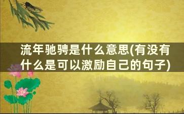 流年驰骋是什么意思(有没有什么是可以激励自己的句子)