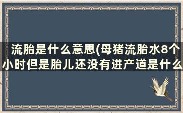 流胎是什么意思(母猪流胎水8个小时但是胎儿还没有进产道是什么原因)