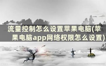 流量控制怎么设置苹果电脑(苹果电脑app网络权限怎么设置)