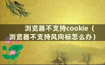 浏览器不支持cookie（浏览器不支持风向标怎么办）