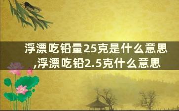 浮漂吃铅量25克是什么意思,浮漂吃铅2.5克什么意思