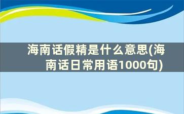 海南话假精是什么意思(海南话日常用语1000句)