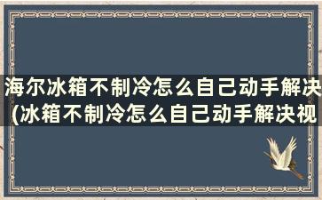 海尔冰箱不制冷怎么自己动手解决(冰箱不制冷怎么自己动手解决视频)