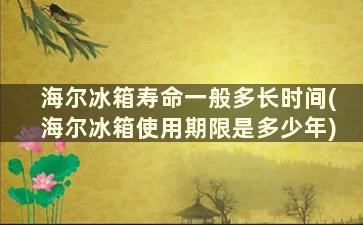 海尔冰箱寿命一般多长时间(海尔冰箱使用期限是多少年)