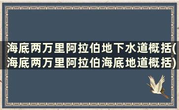 海底两万里阿拉伯地下水道概括(海底两万里阿拉伯海底地道概括)