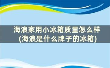 海浪家用小冰箱质量怎么样(海浪是什么牌子的冰箱)