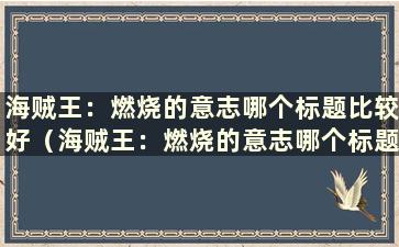 海贼王：燃烧的意志哪个标题比较好（海贼王：燃烧的意志哪个标题比较好）