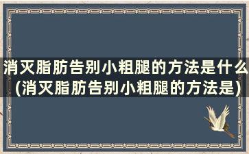 消灭脂肪告别小粗腿的方法是什么(消灭脂肪告别小粗腿的方法是)