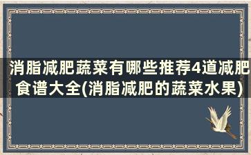 消脂减肥蔬菜有哪些推荐4道减肥食谱大全(消脂减肥的蔬菜水果)