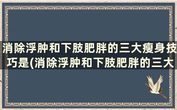 消除浮肿和下肢肥胖的三大瘦身技巧是(消除浮肿和下肢肥胖的三大瘦身技巧)