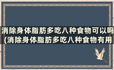 消除身体脂肪多吃八种食物可以吗(消除身体脂肪多吃八种食物有用吗)