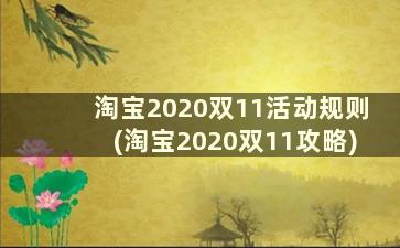 淘宝2020双11活动规则(淘宝2020双11攻略)