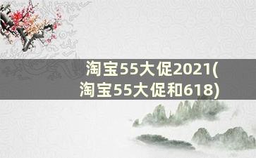 淘宝55大促2021(淘宝55大促和618)