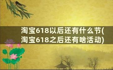 淘宝618以后还有什么节(淘宝618之后还有啥活动)