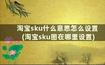 淘宝sku什么意思怎么设置(淘宝sku图在哪里设置)