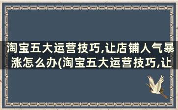 淘宝五大运营技巧,让店铺人气暴涨怎么办(淘宝五大运营技巧,让店铺人气暴涨是真的吗)