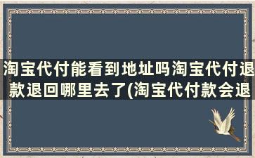 淘宝代付能看到地址吗淘宝代付退款退回哪里去了(淘宝代付款会退款到哪里)