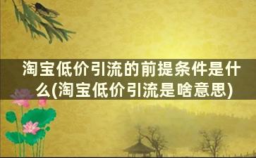 淘宝低价引流的前提条件是什么(淘宝低价引流是啥意思)