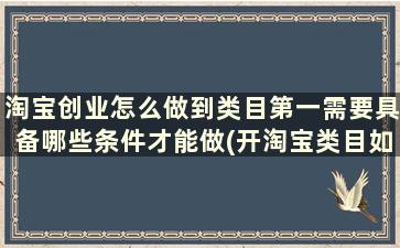 淘宝创业怎么做到类目第一需要具备哪些条件才能做(开淘宝类目如何选择)