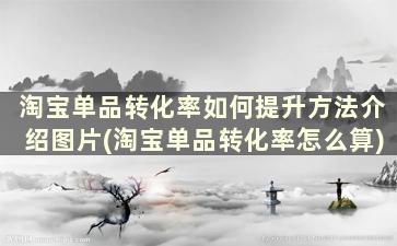 淘宝单品转化率如何提升方法介绍图片(淘宝单品转化率怎么算)