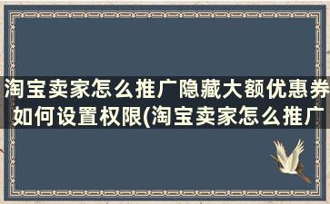 淘宝卖家怎么推广隐藏大额优惠券如何设置权限(淘宝卖家怎么推广隐藏大额优惠券如何设置密码)