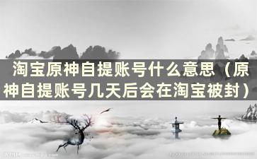 淘宝原神自提账号什么意思（原神自提账号几天后会在淘宝被封）