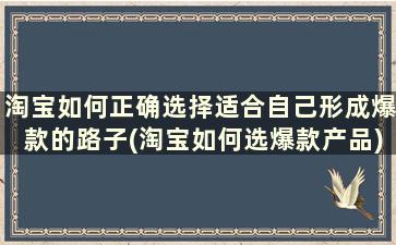 淘宝如何正确选择适合自己形成爆款的路子(淘宝如何选爆款产品)