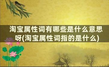 淘宝属性词有哪些是什么意思呀(淘宝属性词指的是什么)