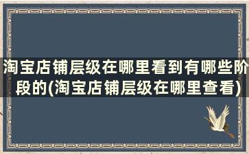 淘宝店铺层级在哪里看到有哪些阶段的(淘宝店铺层级在哪里查看)